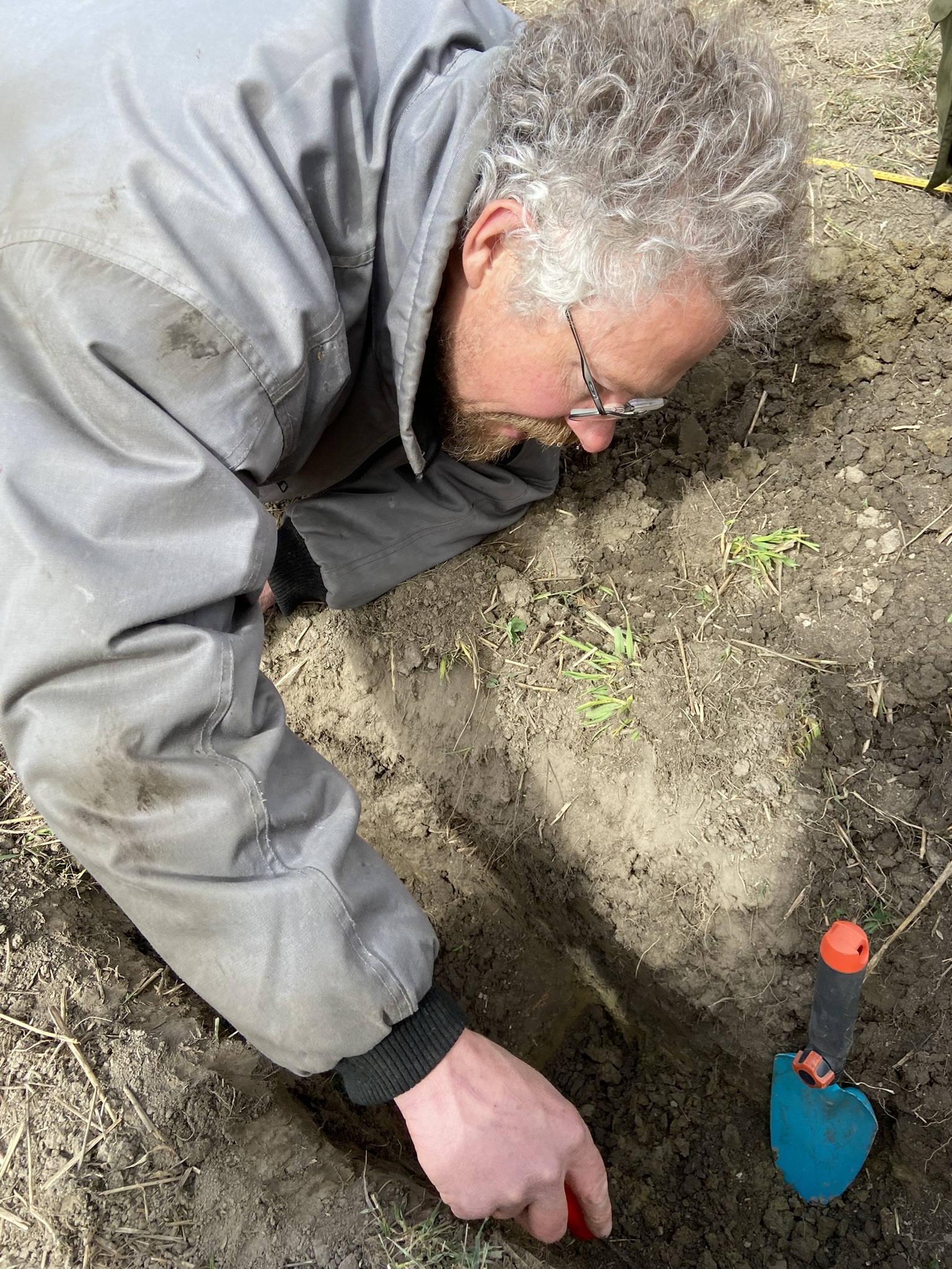 3231 Ferment bilde til artikkel Vibhoda Holten of ‘Sunn Jord’ examines the soil structure in field trials studying the effects of Terra Biosa. (Photo: Sissel Hansen)